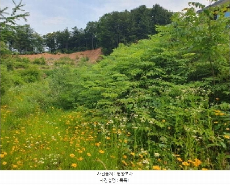 2025타경71813 경기도 가평군 설악면 사룡리 668-8 대지 경매 이미지