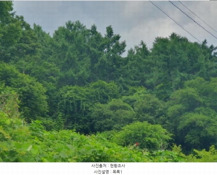 2025타경71872 경기도 가평군 상면 덕현리 산63-127 임야 경매 이미지