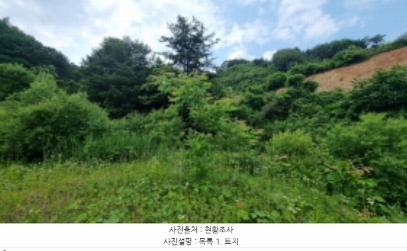 2023타경70107 경기도 가평군 설악면 선촌리 429-1 농지 경매 이미지