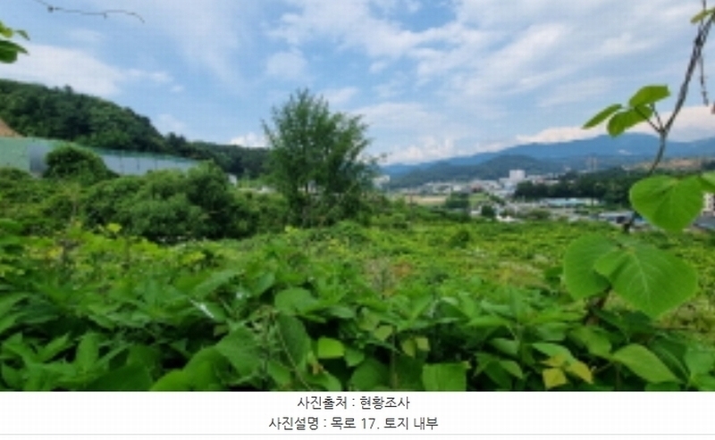 2023타경70107 경기도 가평군 설악면 선촌리 429-1 농지 경매 이미지