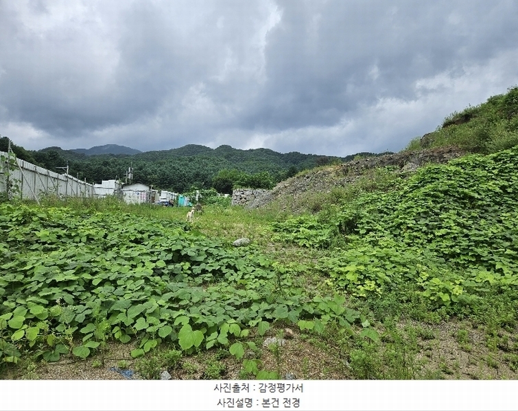 2024타경3876 경기도 가평군 상면 태봉리 산119-6 임야 경매 이미지