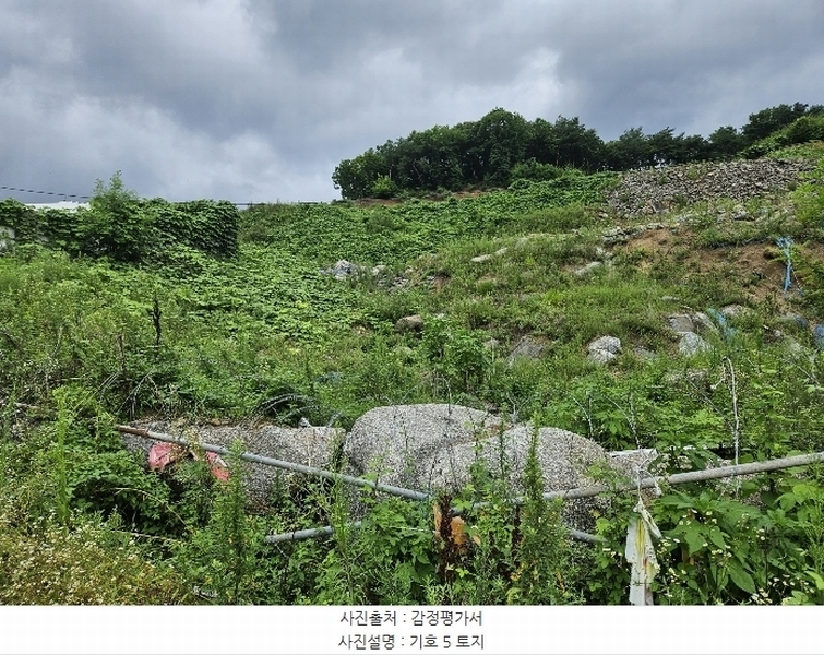 2024타경3876 경기도 가평군 상면 태봉리 산119-6 임야 경매 이미지