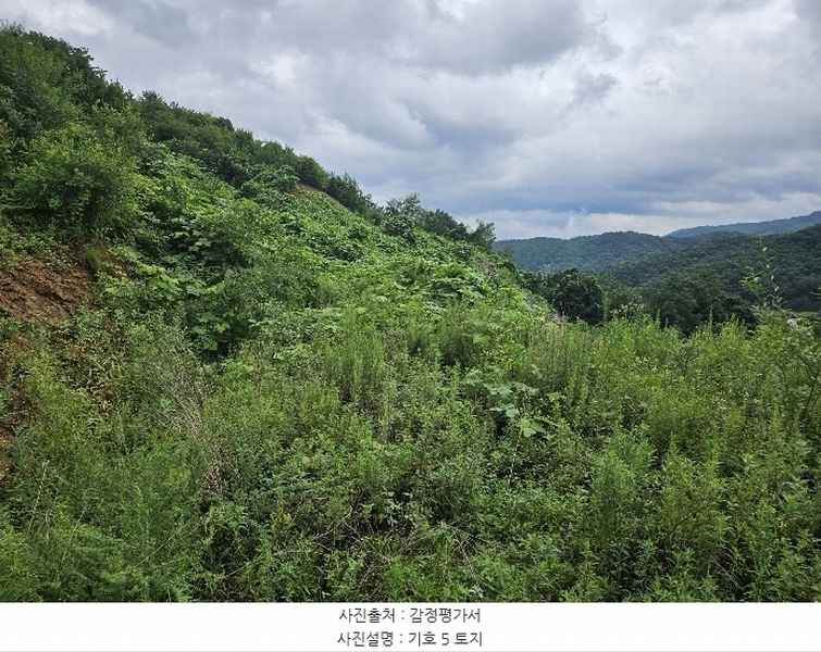 2024타경3876 경기도 가평군 상면 태봉리 산119-6 임야 경매 이미지
