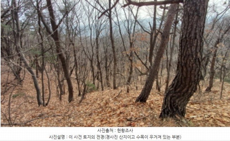 2024타경5742 경기도 남양주시 진건읍 송능리 산11-1 임야 경매 이미지