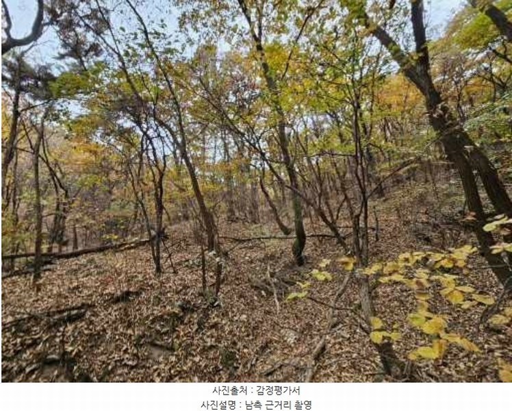 2024타경5742 경기도 남양주시 진건읍 송능리 산11-1 임야 경매 이미지