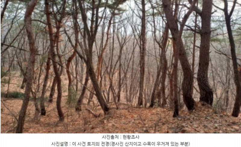 2024타경5742 경기도 남양주시 진건읍 송능리 산11-1 임야 경매 이미지