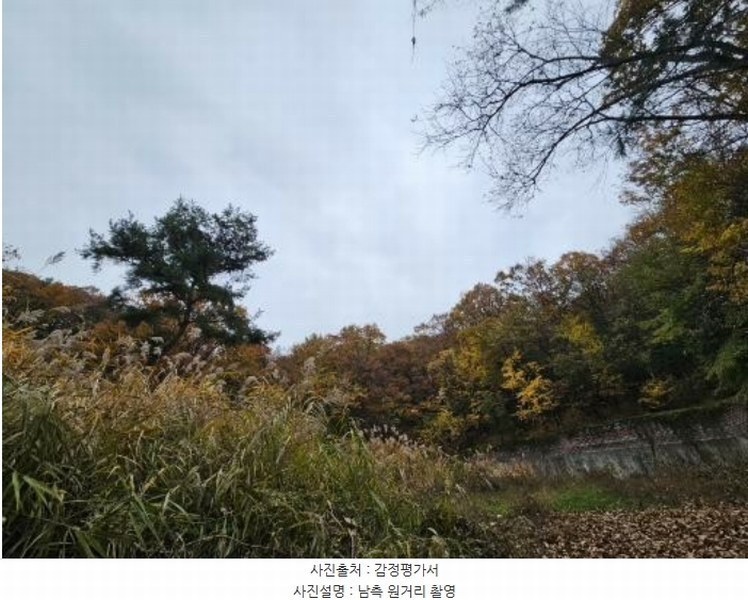 2024타경5742 경기도 남양주시 진건읍 송능리 산11-1 임야 경매 이미지