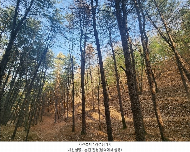 2024타경6080 경기도 가평군 가평읍 달전리 산30 임야 경매 이미지