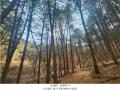 2024타경6080 경기도 가평군 가평읍 달전리 산30 임야 경매 이미지