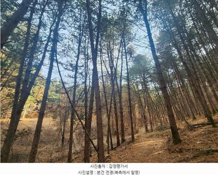 2024타경6080 경기도 가평군 가평읍 달전리 산30 임야 경매 이미지