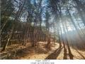 2024타경6080 경기도 가평군 가평읍 달전리 산30 임야 경매 이미지