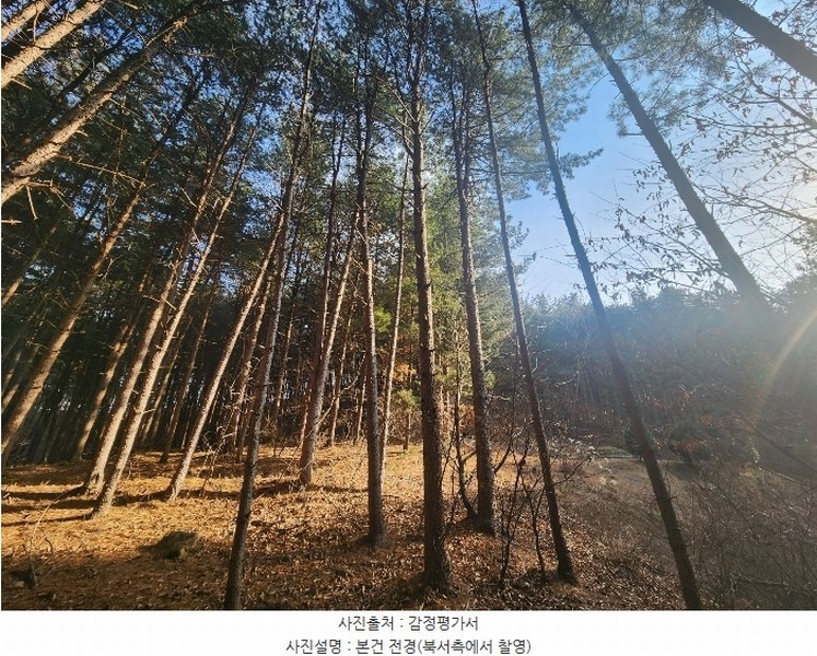 2024타경6080 경기도 가평군 가평읍 달전리 산30 임야 경매 이미지