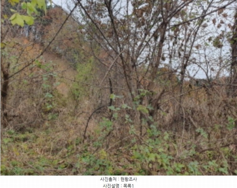 2024타경85694 경기도 가평군 가평읍 달전리 530-14 임야 경매 이미지