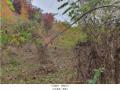 2024타경85694 경기도 가평군 가평읍 달전리 530-14 임야 경매 이미지