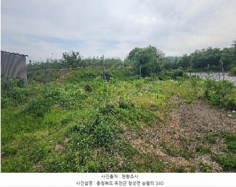 2025타경72 충청북도 옥천군 청성면 능월리 340 농지 경매 이미지