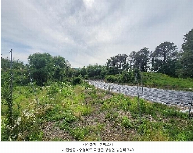 2025타경72 충청북도 옥천군 청성면 능월리 340 농지 경매 이미지