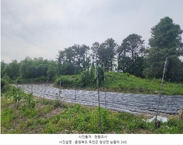 2025타경72 충청북도 옥천군 청성면 능월리 340 농지 경매 이미지