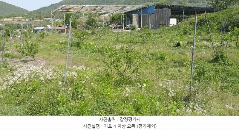 2025타경72 충청북도 옥천군 청성면 능월리 340 농지 경매 이미지