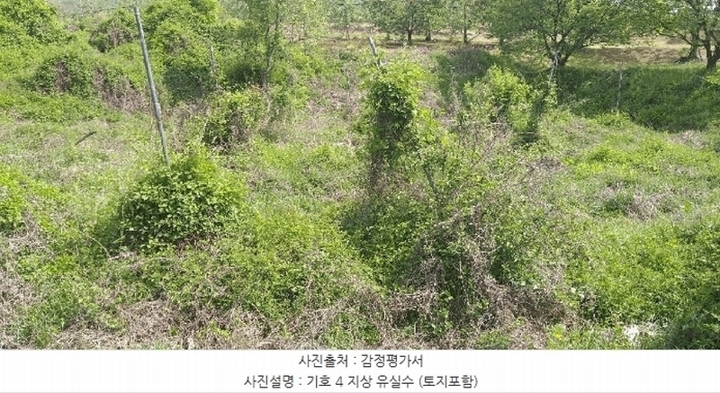 2025타경72 충청북도 옥천군 청성면 능월리 340 농지 경매 이미지