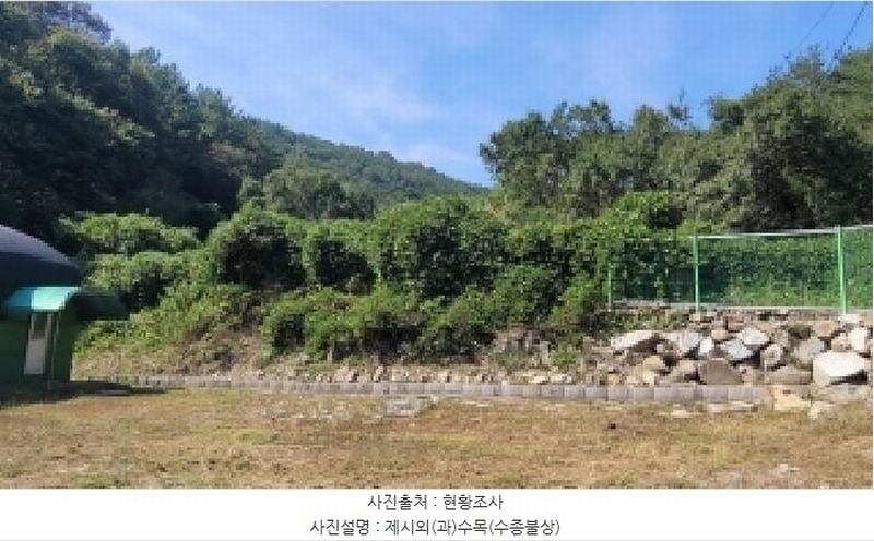 2025타경300 경상남도 의령군 지정면 두곡리 1036 농지 경매 이미지