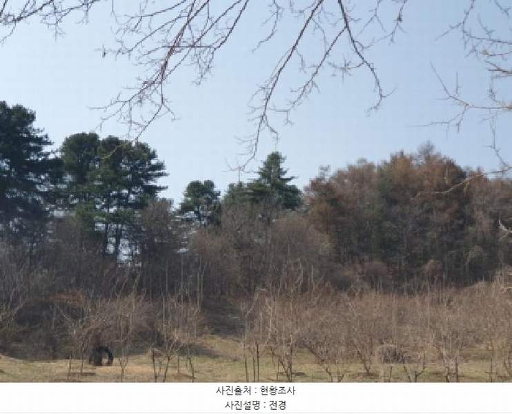 2025타경71424 경기도 가평군 가평읍 산유리 산252-3 임야 경매 이미지