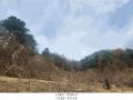 2025타경71424 경기도 가평군 가평읍 산유리 산252-3 임야 경매 이미지