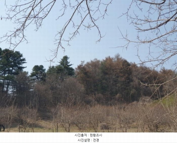 2025타경71424 경기도 가평군 가평읍 산유리 산252-3 임야 경매 이미지