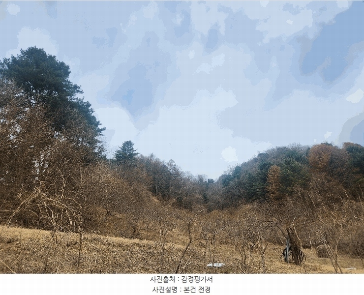 2025타경71424 경기도 가평군 가평읍 산유리 산252-3 임야 경매 이미지