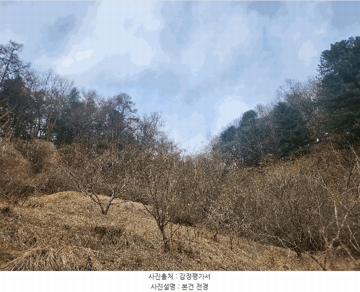 2025타경71424 경기도 가평군 가평읍 산유리 산252-3 임야 경매 이미지