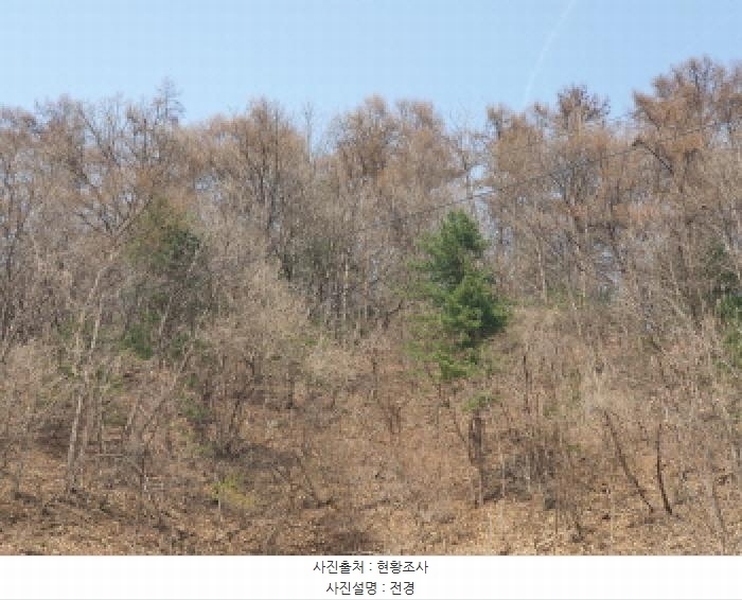 2025타경71424 경기도 가평군 가평읍 산유리 산252-3 임야 경매 이미지