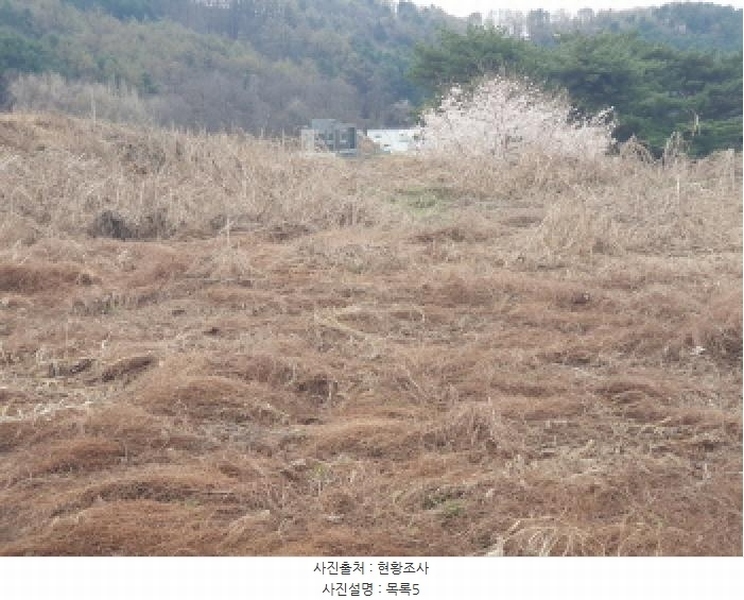 2025타경71482 경기도 가평군 설악면 사룡리 176-1 대지 경매 이미지