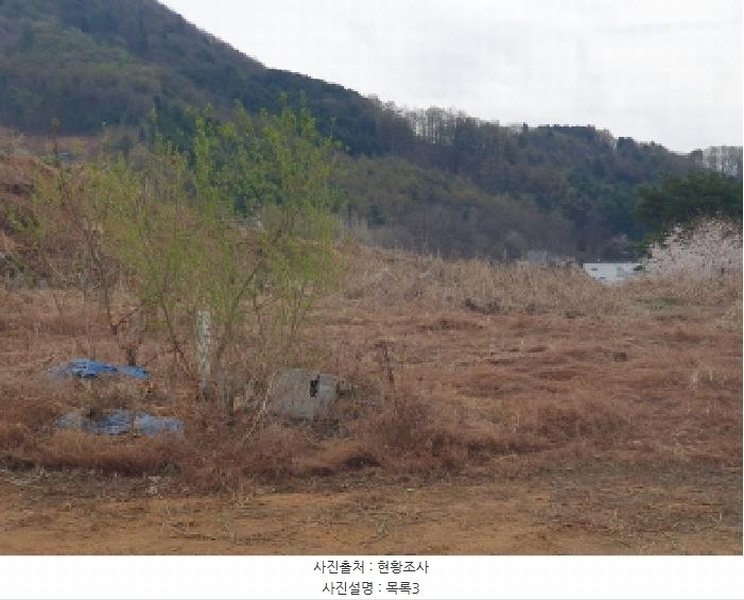 2025타경71482 경기도 가평군 설악면 사룡리 176-1 대지 경매 이미지