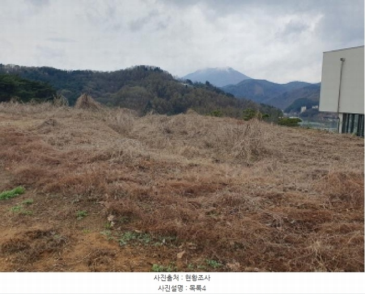 2025타경71482 경기도 가평군 설악면 사룡리 176-1 대지 경매 이미지