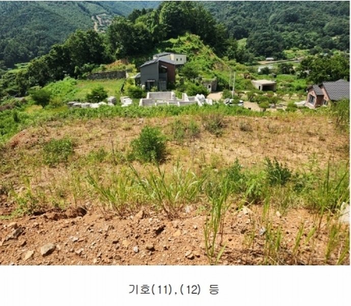 2024타경75406 경기도 가평군 청평면 상천리 635-3 임야 경매 이미지