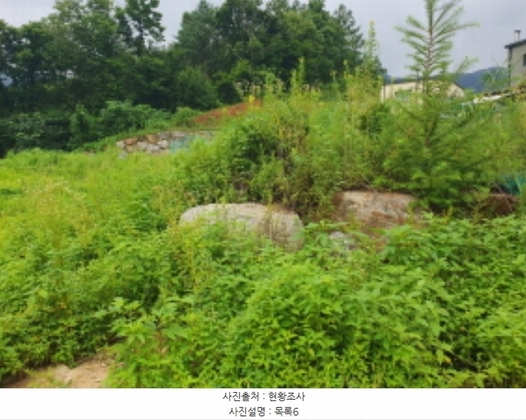 2024타경75406 경기도 가평군 청평면 상천리 635-3 임야 경매 이미지