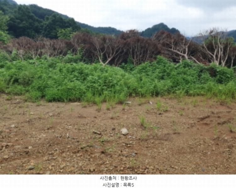 2024타경75406 경기도 가평군 청평면 상천리 635-3 임야 경매 이미지