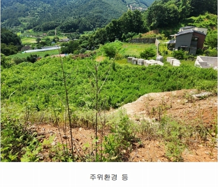 2024타경75406 경기도 가평군 청평면 상천리 635-3 임야 경매 이미지