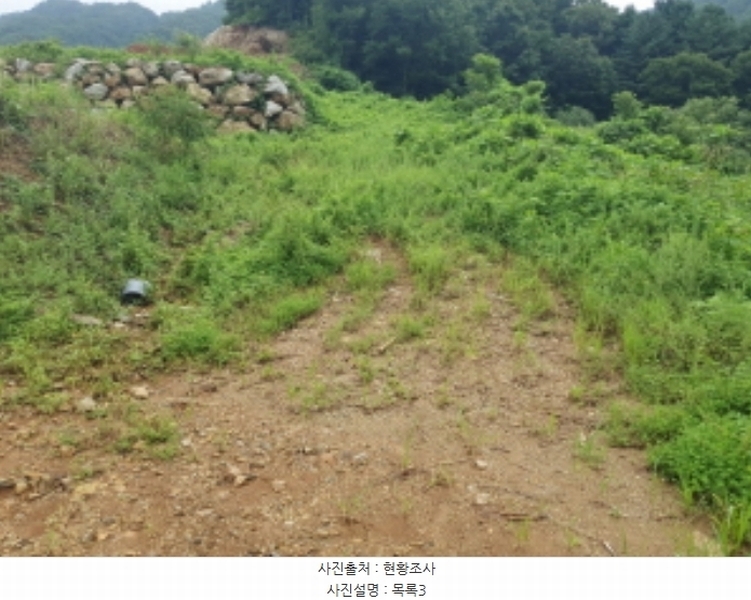 2024타경75406 경기도 가평군 청평면 상천리 635-3 임야 경매 이미지