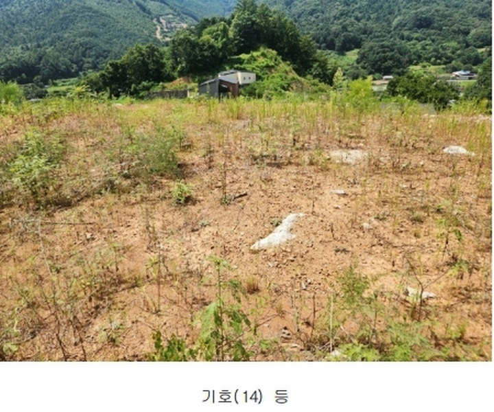 2024타경75406 경기도 가평군 청평면 상천리 635-3 임야 경매 이미지