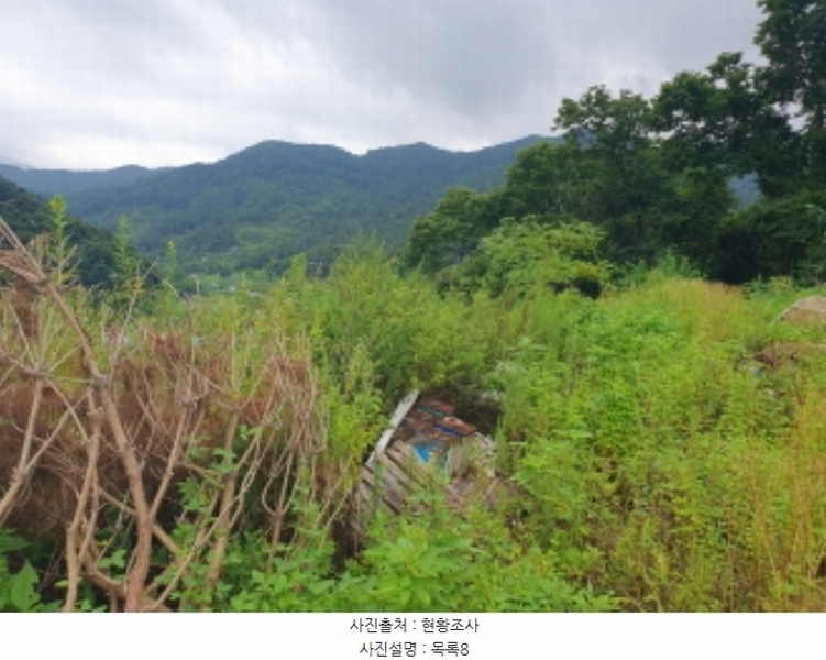 2024타경75406 경기도 가평군 청평면 상천리 635-3 임야 경매 이미지