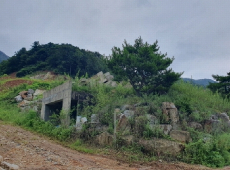 2024타경75406 경기도 가평군 청평면 상천리 635-3 임야 경매 이미지