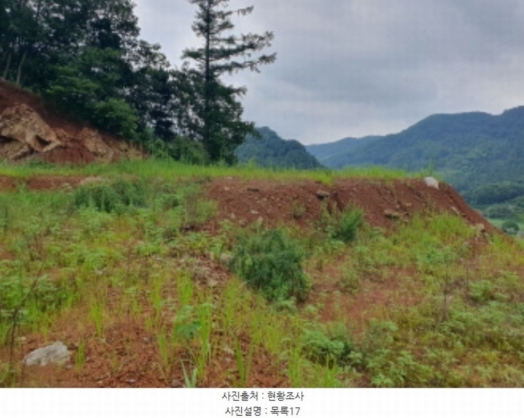 2024타경75406 경기도 가평군 청평면 상천리 635-3 임야 경매 이미지