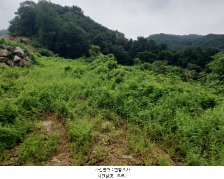 2024타경75406 경기도 가평군 청평면 상천리 635-3 임야 경매 이미지