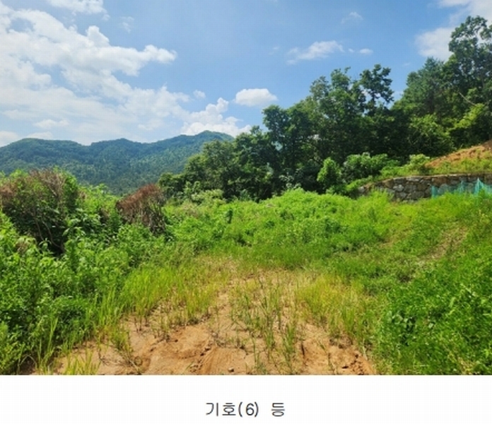 2024타경75406 경기도 가평군 청평면 상천리 635-3 임야 경매 이미지