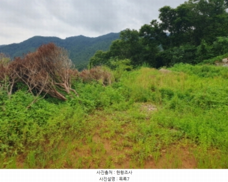2024타경75406 경기도 가평군 청평면 상천리 635-3 임야 경매 이미지