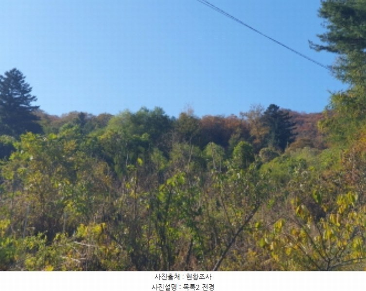 2024타경84738 경기도 가평군 청평면 호명리 산118 임야 경매 이미지