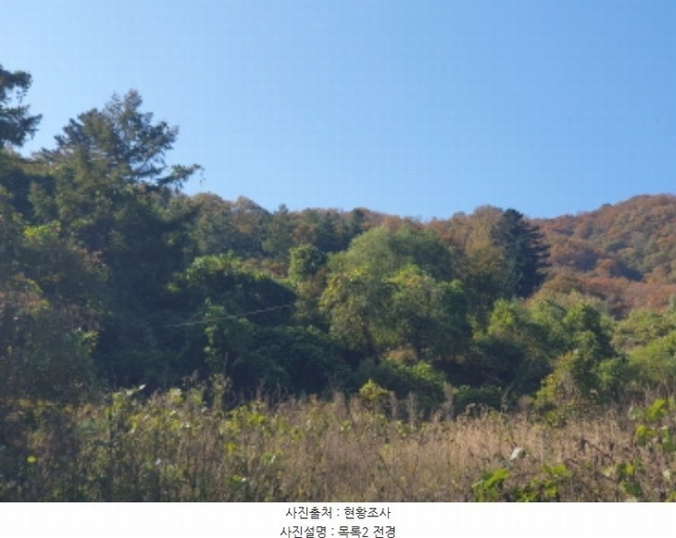 2024타경84738 경기도 가평군 청평면 호명리 산118 임야 경매 이미지