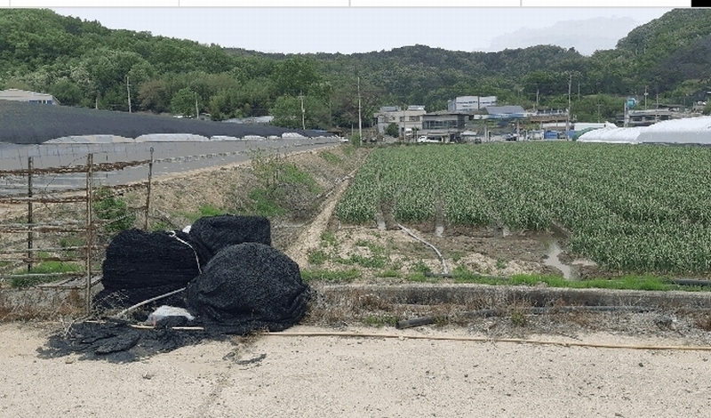 2025타경928 경상북도 고령군 다산면 송곡리 1883 농지 경매 이미지