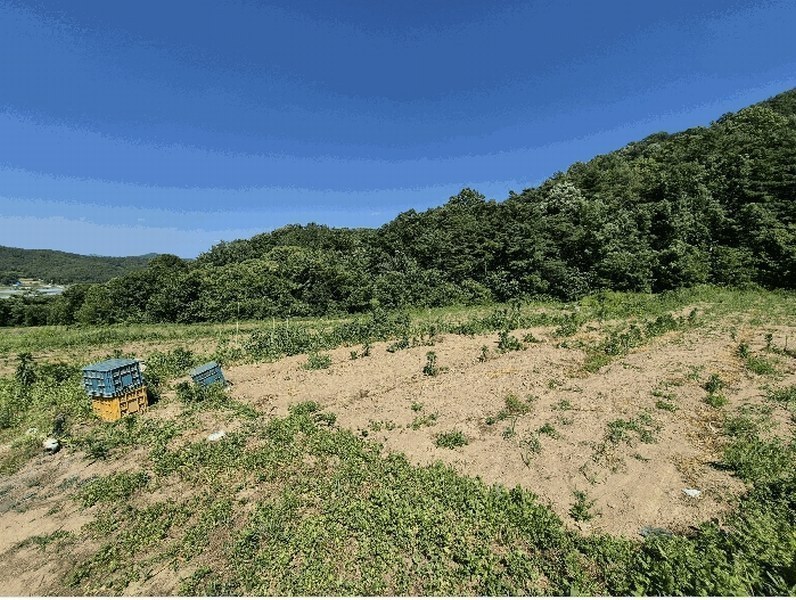 2025타경1129 경상북도 고령군 대가야읍 저전리 697 농지 경매 이미지