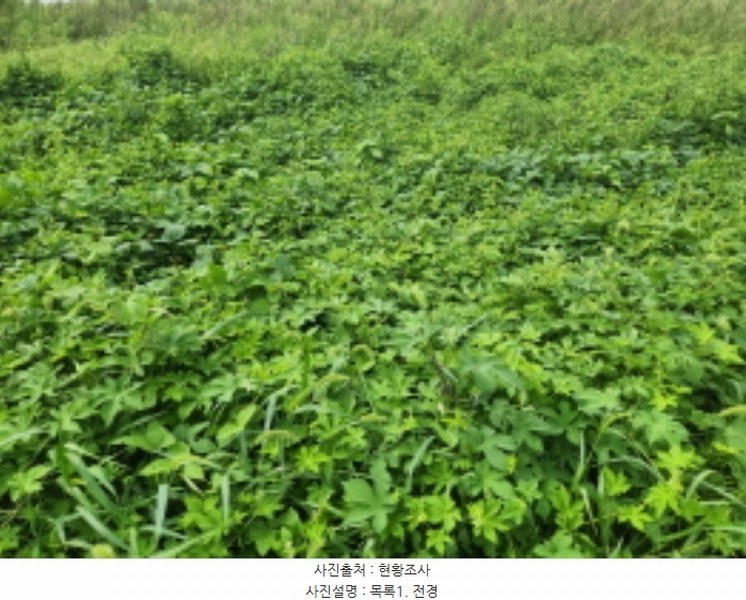 2024타경10978 인천광역시 강화군 화도면 내리 2518 농지 경매 이미지